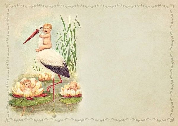 Annoncer un Baptême ou une Communion avec Élégance : Un Guide sur les Faire-Part